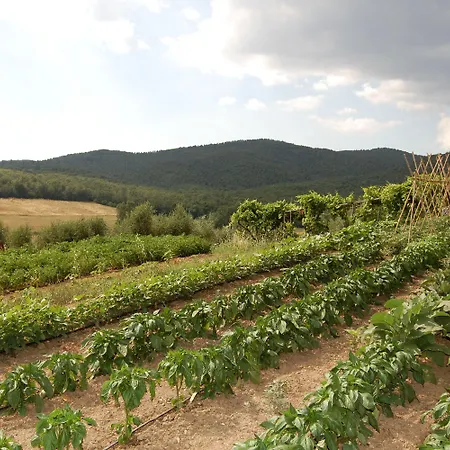 Bauernhof Montepozzalino