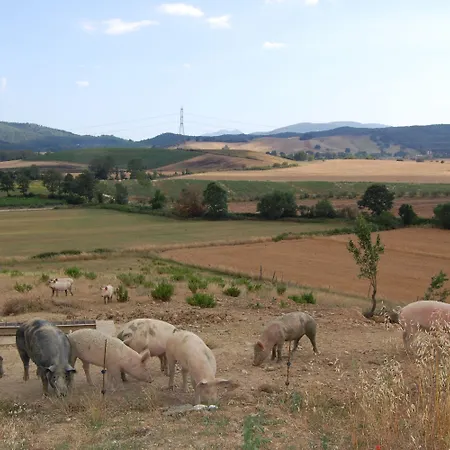 Bauernhof Montepozzalino La Pesta