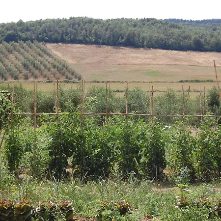 Montepozzalino La Pesta