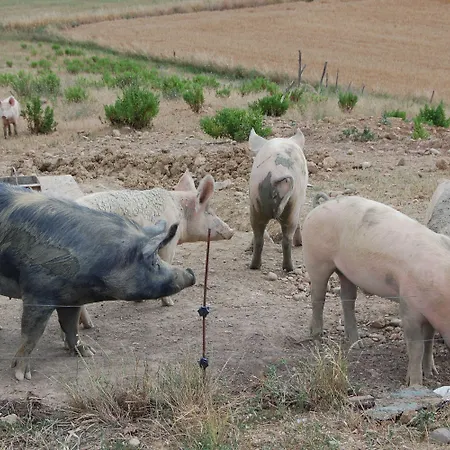 Montepozzalino *