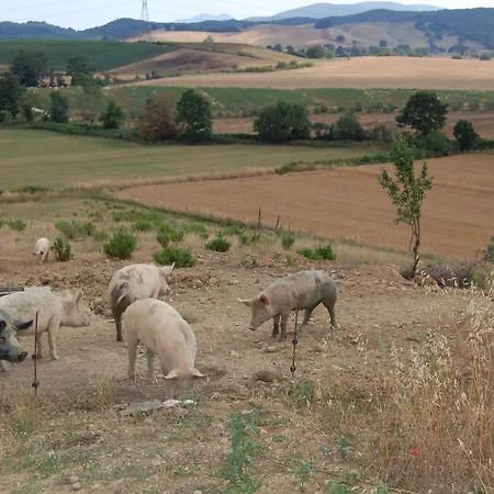 Montepozzalino Bauernhof