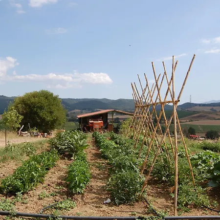 Montepozzalino La Pesta