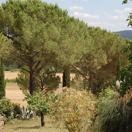Montepozzalino La Pesta
