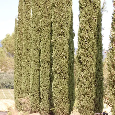 Bauernhof Montepozzalino